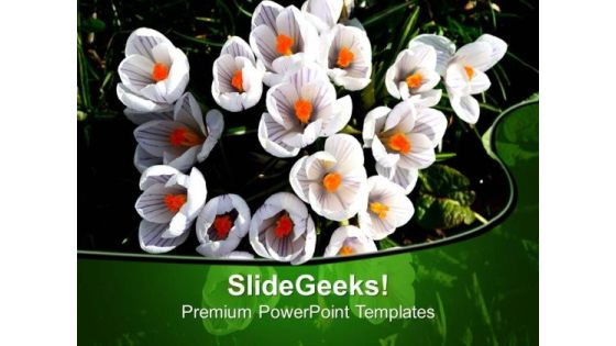 Cherry Flowers Beauty Of Environment PowerPoint Templates Ppt Backgrounds For Slides 0513