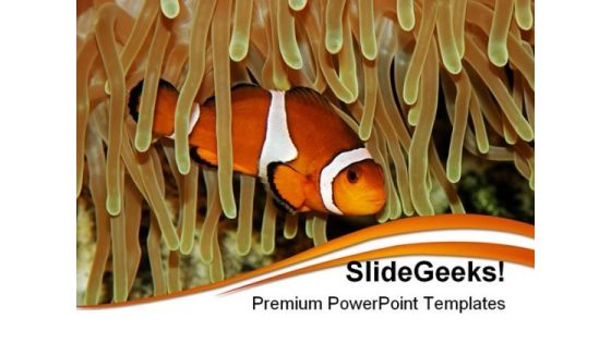 Clown Fish Animals PowerPoint Templates And PowerPoint Backgrounds 0211 Clown Fish Animals PowerPoint Templates And PowerPoint Backgrounds 0211