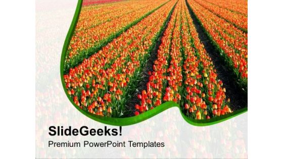 Colorful Tulips On Beautiful Background PowerPoint Templates Ppt Backgrounds For Slides 0213