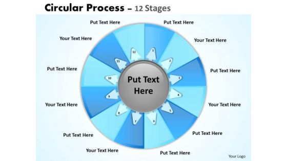 Consulting Diagram Circular Process 12 Stages Strategy Diagram
