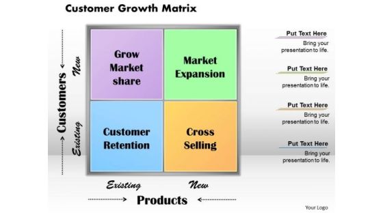 Customer Growth Matrix Business PowerPoint Presentation Customer Growth Matrix Business PowerPoint Presentation