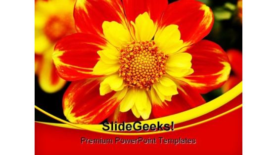 Dahlia Beauty PowerPoint Templates And PowerPoint Backgrounds 0311 Dahlia Beauty PowerPoint Templates And PowerPoint Backgrounds 0311
