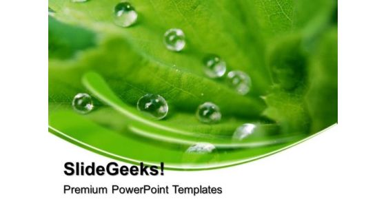 Dew Drops On Leaves Beauty PowerPoint Templates And PowerPoint Themes 0512
