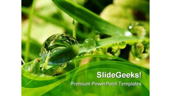 Dew Drops On Leaves Nature PowerPoint Templates And PowerPoint Backgrounds 0411