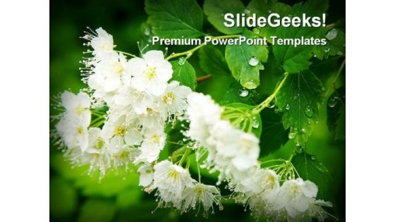 Dew Drops On White Flowers Beauty PowerPoint Themes And PowerPoint Slides 0311