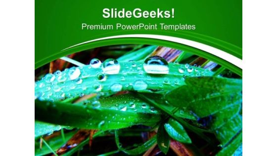 Dew On Grass With Green Background PowerPoint Templates Ppt Backgrounds For Slides 0613 Dew On Grass With Green Background PowerPoint Templates Ppt Backgrounds For Slides 0613