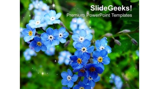 Do Not Forget Me PowerPoint Templates Ppt Backgrounds For Slides 0513 Do Not Forget Me PowerPoint Templates Ppt Backgrounds For Slides 0513