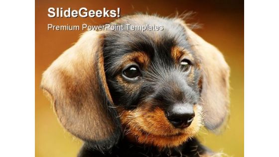 Dog Animals PowerPoint Backgrounds And Templates 1210 Dog Animals PowerPoint Backgrounds And Templates 1210
