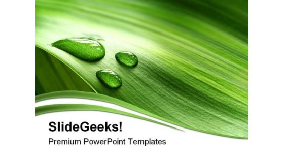 Drop And Leaf Nature PowerPoint Template 0910 Drop And Leaf Nature PowerPoint Template 0910