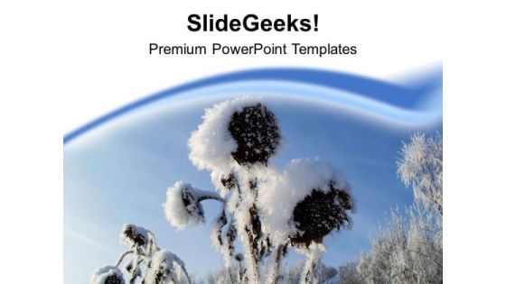Each Flower Become White With Snow In Winters PowerPoint Templates Ppt Backgrounds For Slides 0613 Each Flower Become White With Snow In Winters PowerPoint Templates Ppt Backgrounds For Slides 0613