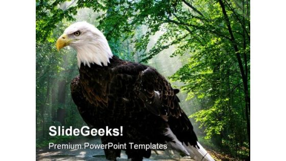 Eagle Animals PowerPoint Template 1010 Eagle Animals PowerPoint Template 1010
