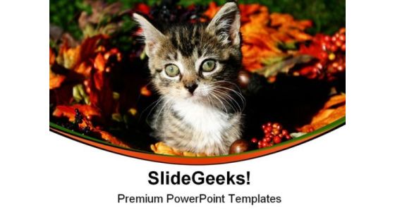 Fall Kitty Animals PowerPoint Themes And PowerPoint Slides 0511 Fall Kitty Animals PowerPoint Themes And PowerPoint Slides 0511