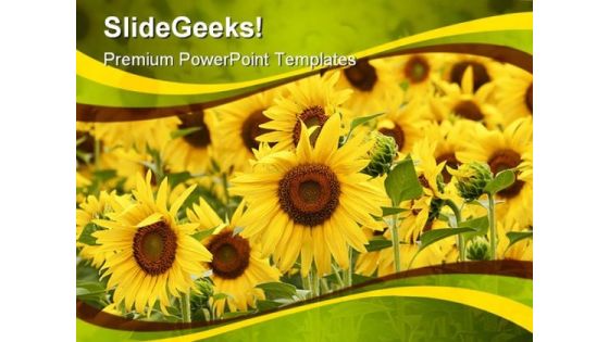 Field Of Sunflowers Beauty PowerPoint Themes And PowerPoint Slides 0311 Field Of Sunflowers Beauty PowerPoint Themes And PowerPoint Slides 0311