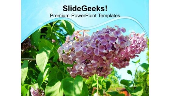 Floral Beauty Of Nature PowerPoint Templates Ppt Backgrounds For Slides 0613