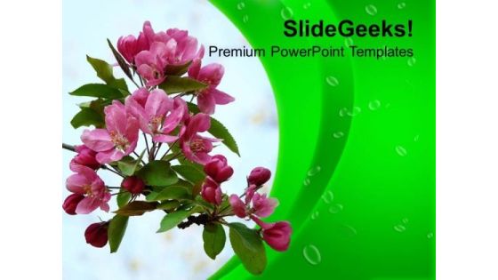 Flowers For Greeting Business Clients PowerPoint Templates Ppt Backgrounds For Slides 0313 Flowers For Greeting Business Clients PowerPoint Templates Ppt Backgrounds For Slides 0313