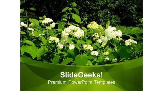 Flowers In Garden Nature PowerPoint Templates Ppt Backgrounds For Slides 0513
