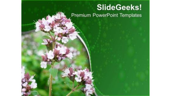 Flowers With Green Background PowerPoint Templates Ppt Backgrounds For Slides 0713 Flowers With Green Background PowerPoint Templates Ppt Backgrounds For Slides 0713