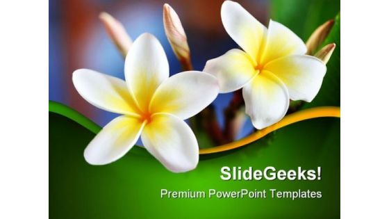 Frangipani Flower Beauty PowerPoint Templates And PowerPoint Backgrounds 0311 Frangipani Flower Beauty PowerPoint Templates And PowerPoint Backgrounds 0311