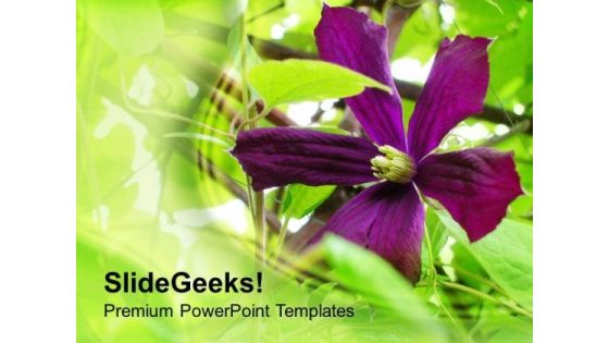 Garden With Purple Flowers Background PowerPoint Templates Ppt Backgrounds For Slides 0613 Garden With Purple Flowers Background PowerPoint Templates Ppt Backgrounds For Slides 0613