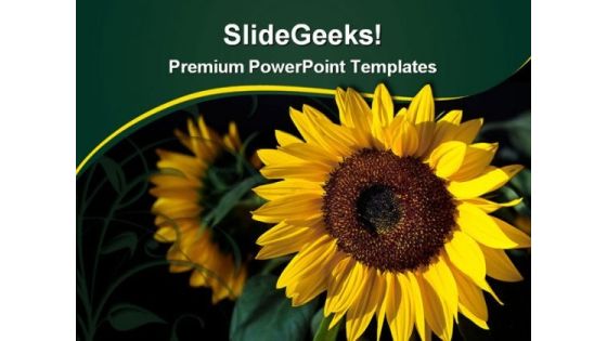Glowing Sunflower Beauty PowerPoint Themes And PowerPoint Slides 0311 Glowing Sunflower Beauty PowerPoint Themes And PowerPoint Slides 0311
