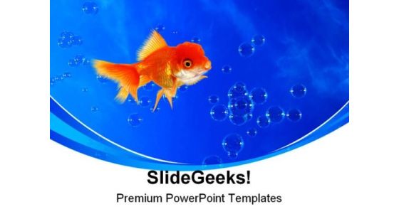 Golden Fish02 Animals PowerPoint Templates And PowerPoint Backgrounds 0211 Golden Fish02 Animals PowerPoint Templates And PowerPoint Backgrounds 0211