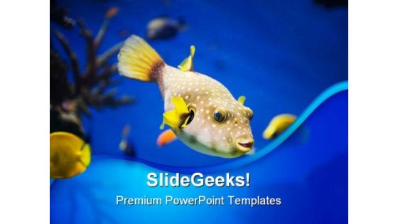 Golden Fish Animals PowerPoint Themes And PowerPoint Slides 0211 Golden Fish Animals PowerPoint Themes And PowerPoint Slides 0211