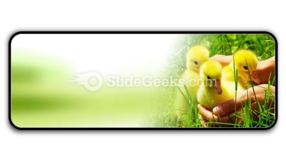 Gosling PowerPoint Icon R Gosling PowerPoint Icon R