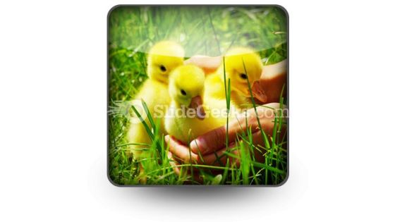 Gosling PowerPoint Icon S Gosling PowerPoint Icon S