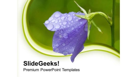 Graphic Background With Purple Flower PowerPoint Templates Ppt Backgrounds For Slides 0613 Graphic Background With Purple Flower PowerPoint Templates Ppt Backgrounds For Slides 0613