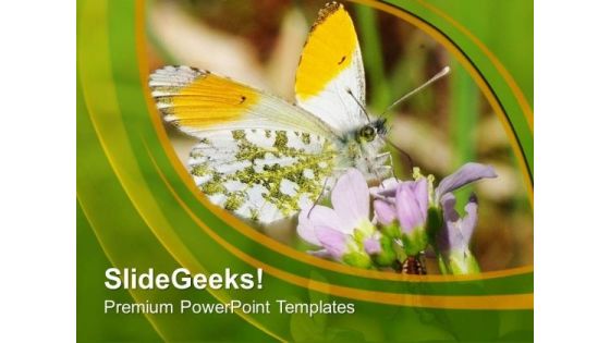 Green Background With Butterfly PowerPoint Templates Ppt Backgrounds For Slides 0613