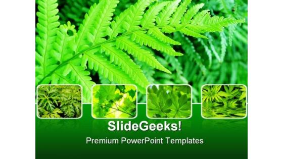 Green Fern Bushes Nature PowerPoint Templates And PowerPoint Backgrounds 0411 Green Fern Bushes Nature PowerPoint Templates And PowerPoint Backgrounds 0411