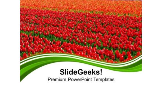 Green Fields Of Red Tulips PowerPoint Templates Ppt Backgrounds For Slides 0213 Green Fields Of Red Tulips PowerPoint Templates Ppt Backgrounds For Slides 0213