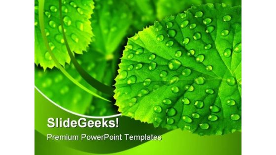 Green Leaf With Drops Nature PowerPoint Templates And PowerPoint Backgrounds 0511