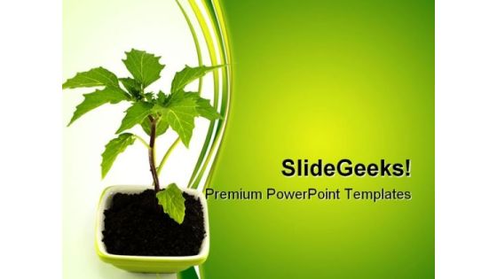 Growing Green Plant Nature PowerPoint Templates And PowerPoint Backgrounds 0511 Growing Green Plant Nature PowerPoint Templates And PowerPoint Backgrounds 0511