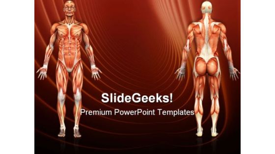 Human Anatomy Male Muscles Science PowerPoint Themes And PowerPoint Slides 0911 Human Anatomy Male Muscles Science PowerPoint Themes And PowerPoint Slides 0911