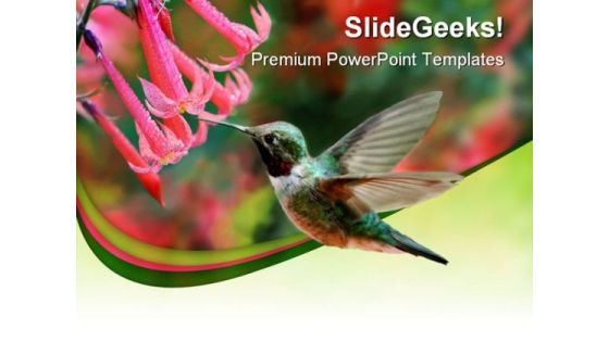 Humming Bird Animals PowerPoint Templates And PowerPoint Backgrounds 0211 Humming Bird Animals PowerPoint Templates And PowerPoint Backgrounds 0211
