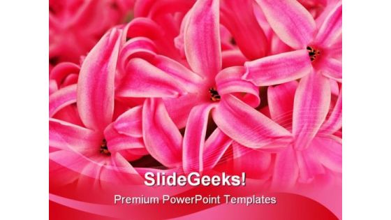 Hyacinth Beauty PowerPoint Templates And PowerPoint Backgrounds 0311 Hyacinth Beauty PowerPoint Templates And PowerPoint Backgrounds 0311