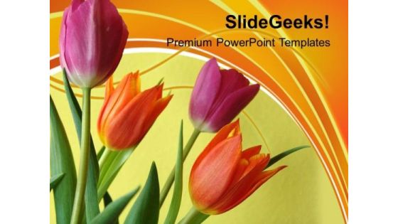 Illustration Of Colorful Tulip Flowers PowerPoint Templates Ppt Backgrounds For Slides 0213 Illustration Of Colorful Tulip Flowers PowerPoint Templates Ppt Backgrounds For Slides 0213