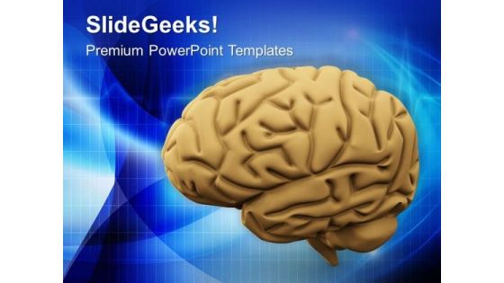 Image Of Human Brain PowerPoint Templates Ppt Backgrounds For Slides 0713 Image Of Human Brain PowerPoint Templates Ppt Backgrounds For Slides 0713