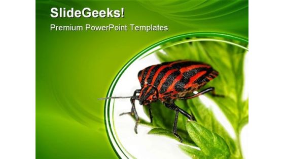 Insect Animals PowerPoint Templates And PowerPoint Backgrounds 0511 Insect Animals PowerPoint Templates And PowerPoint Backgrounds 0511