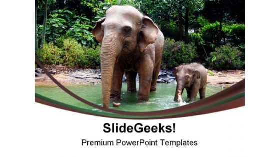 Jungle Elephant Animals PowerPoint Templates And PowerPoint Backgrounds 0211 Jungle Elephant Animals PowerPoint Templates And PowerPoint Backgrounds 0211