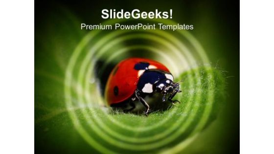 Ladybug Insects Animals PowerPoint Templates Ppt Backgrounds For Slides 0213 Ladybug Insects Animals PowerPoint Templates Ppt Backgrounds For Slides 0213