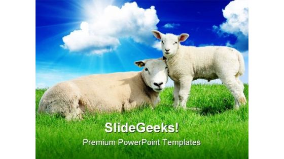 Lamb Animals PowerPoint Template 0910 Lamb Animals PowerPoint Template 0910