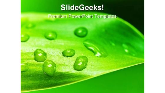 Leaf With Drops Nature PowerPoint Template 0910 Leaf With Drops Nature PowerPoint Template 0910