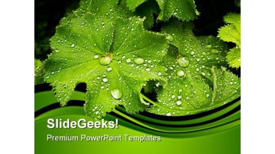 Leaves After The Rain Nature PowerPoint Templates And PowerPoint Backgrounds 0511