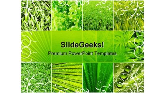 Leaves Collage Nature PowerPoint Template 0810 Leaves Collage Nature PowerPoint Template 0810