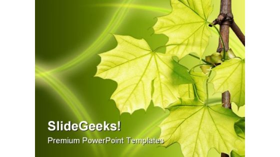 Leaves Green Nature PowerPoint Template 1110 Leaves Green Nature PowerPoint Template 1110