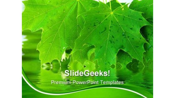 Leaves Nature PowerPoint Templates And PowerPoint Backgrounds 0311 Leaves Nature PowerPoint Templates And PowerPoint Backgrounds 0311