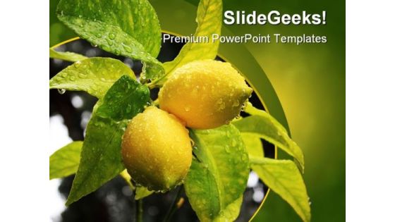 Lemons Food Nature PowerPoint Template 0810 Lemons Food Nature PowerPoint Template 0810