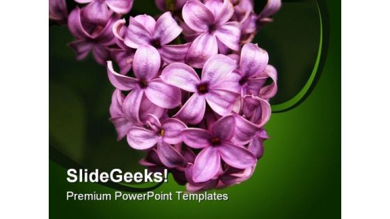 Lilacs Nature PowerPoint Templates And PowerPoint Backgrounds 0311